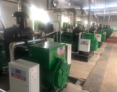 德科250KW/400V陸用發(fā)電機(jī)應(yīng)用于中石油項目