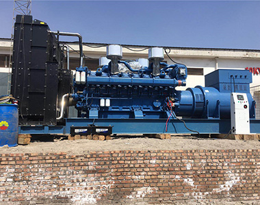 德科2000KW/10.5KV 高壓發(fā)電機(jī)應(yīng)用于某石油項目