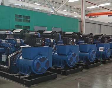 德科500KW/400V陸用發(fā)電機(jī)應(yīng)用于某養(yǎng)殖場(chǎng)項(xiàng)目