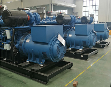 德科800KW/400V陸用發(fā)電機(jī)應(yīng)用于某養(yǎng)殖場(chǎng)項(xiàng)目