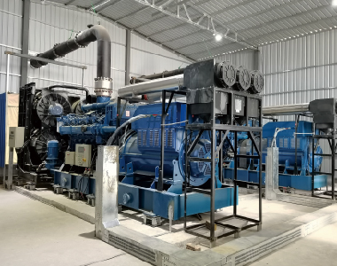 中石化燃?xì)獍l(fā)電項目（2臺1000KW10.5KV1000轉(zhuǎn)6極高壓發(fā)電機(jī)）