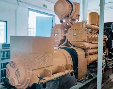 廣東石化項目（600kw1000轉(zhuǎn)6極發(fā)電機(jī)）