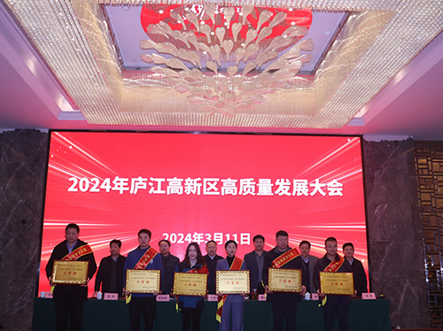 【喜報】德科電氣榮獲2023年廬江高新區(qū)企業(yè)高質量發(fā)展一等獎!